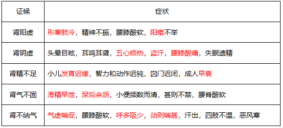 执业药师《中药综》第二章考点:五脏辩证(二)