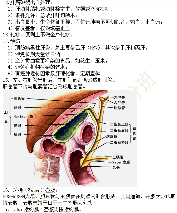 30个有关肝炎、胆囊炎相关考点汇总-临床执业医师消化系统第九期！