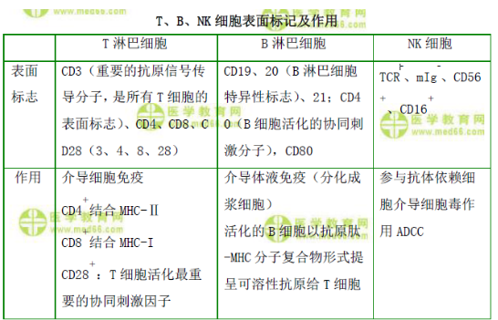 T、B、NK细胞表面标记及作用