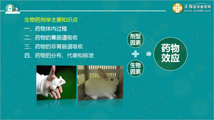 【视频】考前70天!钱韵文教你如何高效复习执业药师!