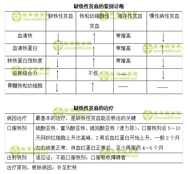 缺铁性贫血的鉴别诊断及治疗