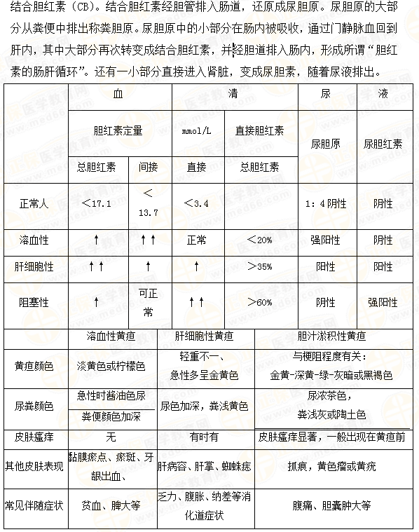2019年临床助理医师备考考点速记黄疸
