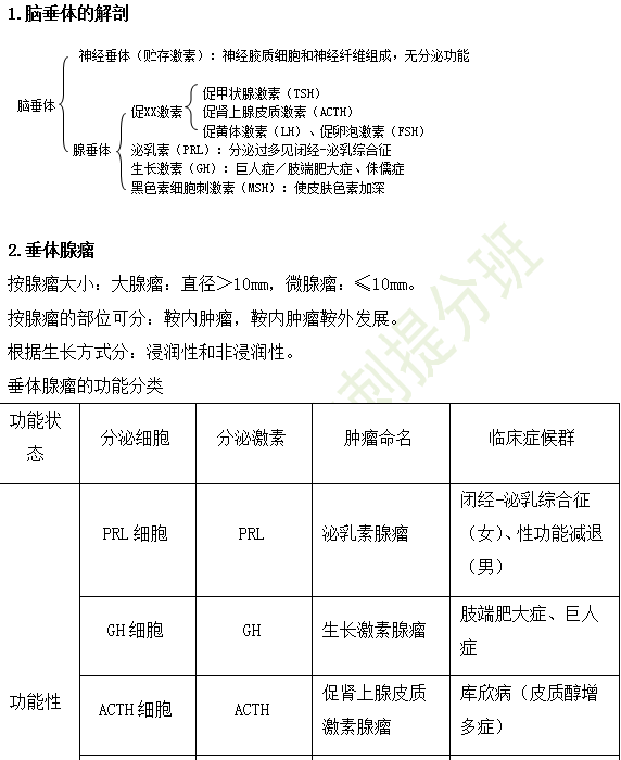 临床执业医师考点