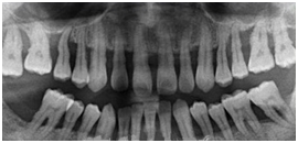 口腔助理医师模拟试题第一单元