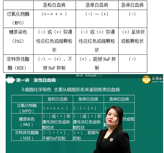 细胞化学染色主要从细胞形态来鉴别各类白血病 
