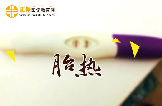 胎热的病因、临床表现及治疗