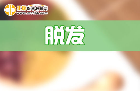 秋天掉头发吃什么好?