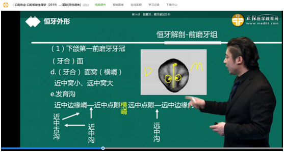 网络辅导课程与口腔助理模拟试题对比