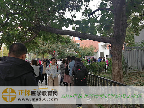 2019年执业药师考试现场报道——考前复习（图文）