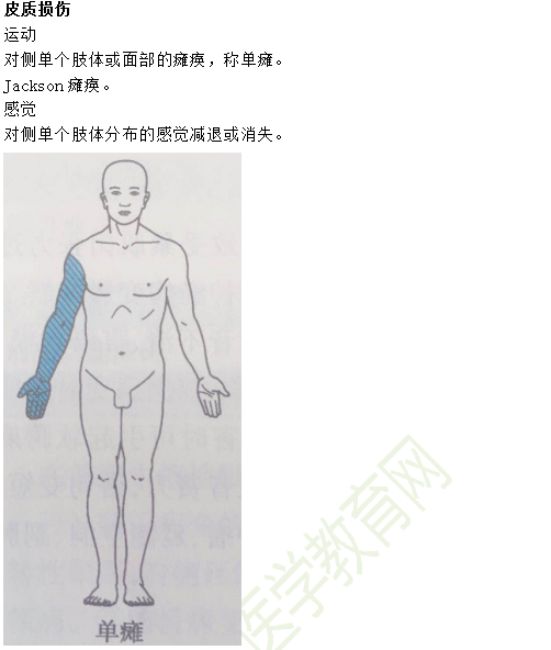 临床助理医师考点