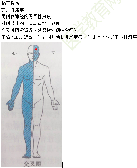 临床助理医师考点