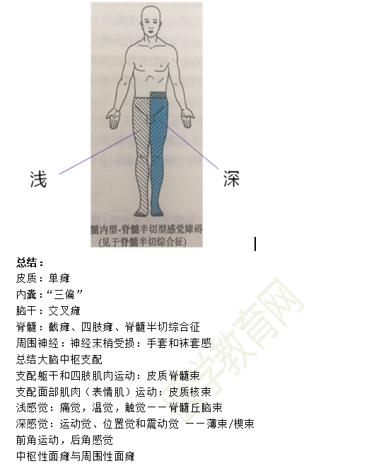 临床助理医师考点