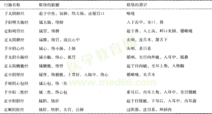 十二经脉与脏腑器官