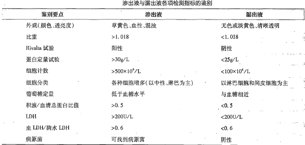 渗出液