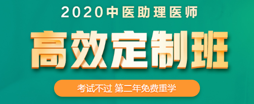 中医助理医师高效定制班