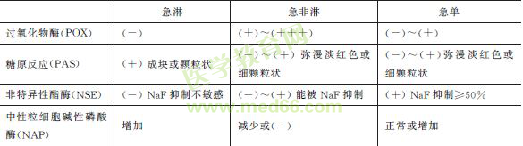 急性白血病的实验室检查