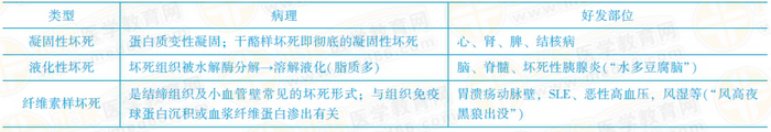 坏死的分类
