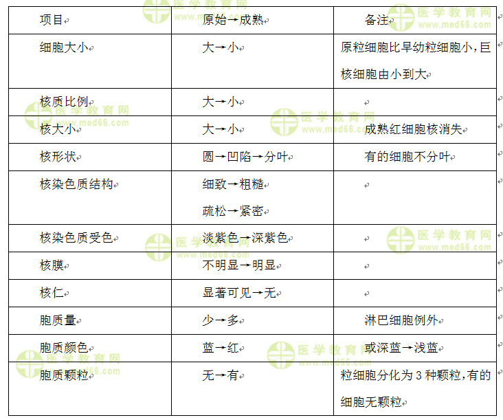 血细胞发育成熟中的形态演变规律