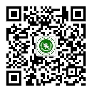 2020070620240330 2020070620240330