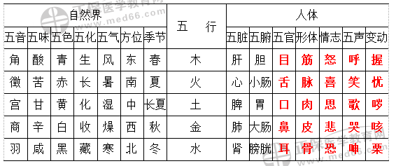 五行表格图解释图片