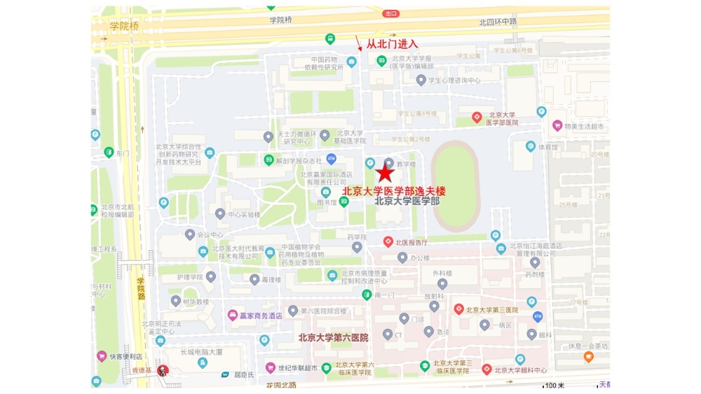 北大医学部 北大医学部