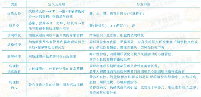 可逆性损伤的常考点