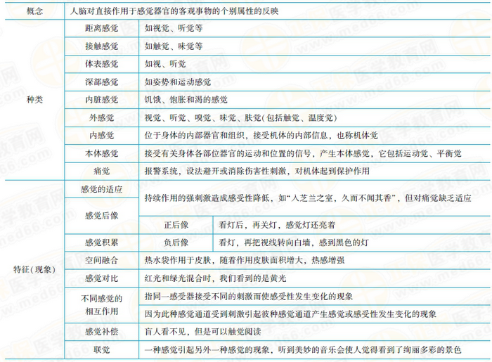 感觉的相关考点总结