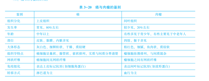 癌和肉瘤的区别