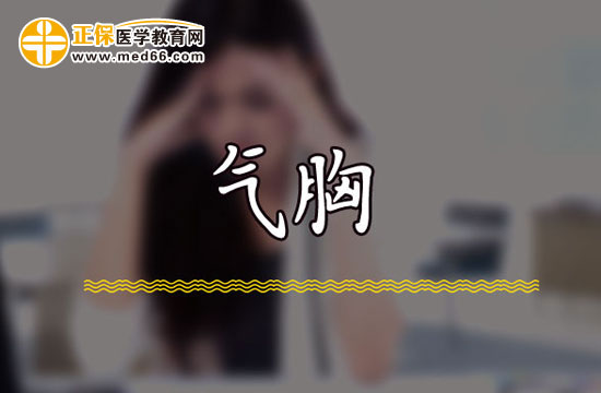 气胸3 气胸3