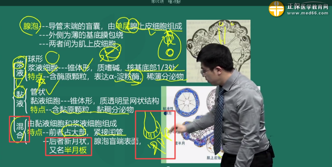 å£èå©çå»å¸èè¯èè4