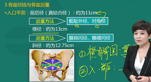 骨盆外测量示意图图片