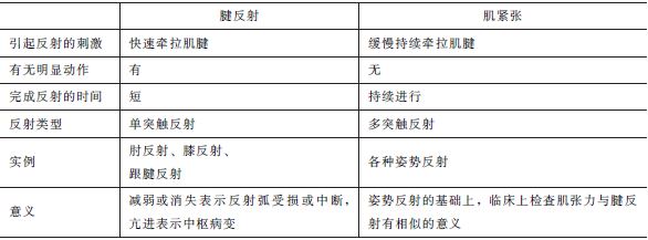 股神经紧张试验图片