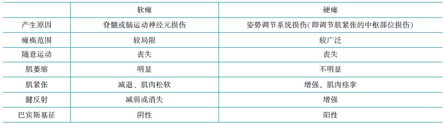 大脑皮层的运动调节功能