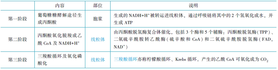 糖的分解代谢和有氧氧化