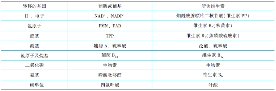 辅酶和辅助因子及酶促反应动力学