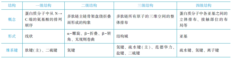 蛋白质分子结构的比较