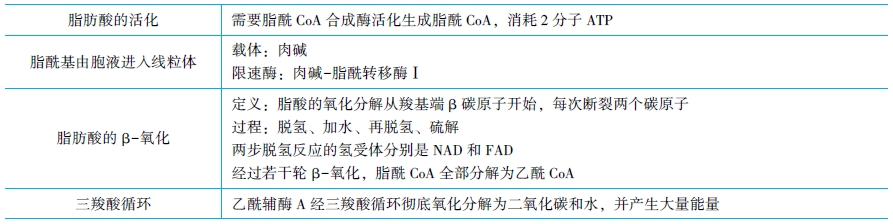 脂肪的分解代谢