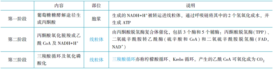 糖的分解代谢和有氧氧化