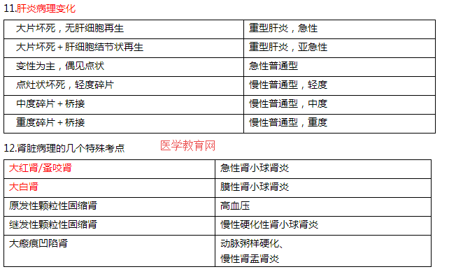 肝炎的病理变化