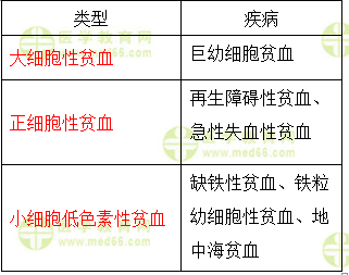 贫血 贫血