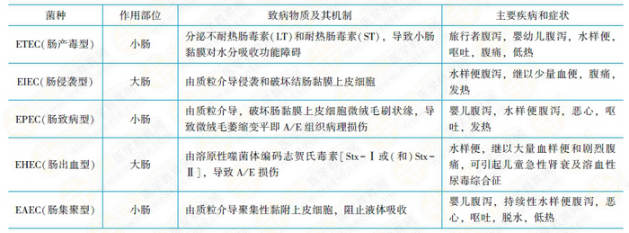 致病性大肠埃希菌致病特点