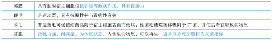细菌的特殊结构 细菌的特殊结构