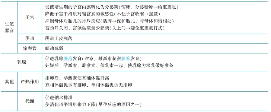 孕激素的生理作用 孕激素的生理作用