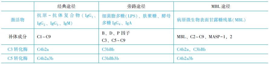 补体系统的激活途径