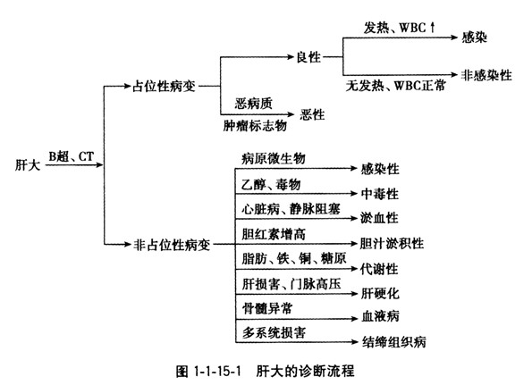 肝大常见疾病的鉴别诊断 肝大常见疾病的鉴别诊断