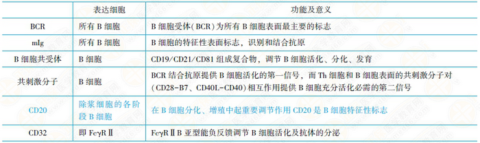 T淋巴细胞亚群及其功能