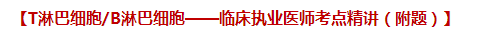 T淋巴细胞 T淋巴细胞