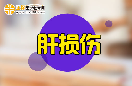 肝损伤 肝损伤