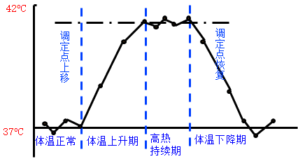 发热的病因,机制及分期-药学职称冲刺考点