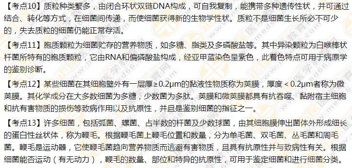 医学微生物学 医学微生物学